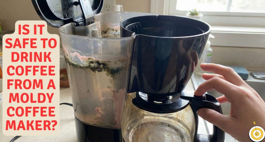 Close-up of a dirty coffee maker water reservoir showing pink slime and green mold spots inside the tank.