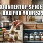 Countertop spice rack with glass jars near a stove and sunlight, showing heat and light exposure in a kitchen.