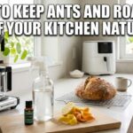A clean, sunlit kitchen counter featuring a Moccamaster coffee machine, a glass spray bottle of vinegar, peppermint oil, and citrus peels next to a fresh sourdough loaf. Bold white text at the top reads: HOW TO KEEP ANTS AND ROACHES OUT OF YOUR KITCHEN NATURALLY.
