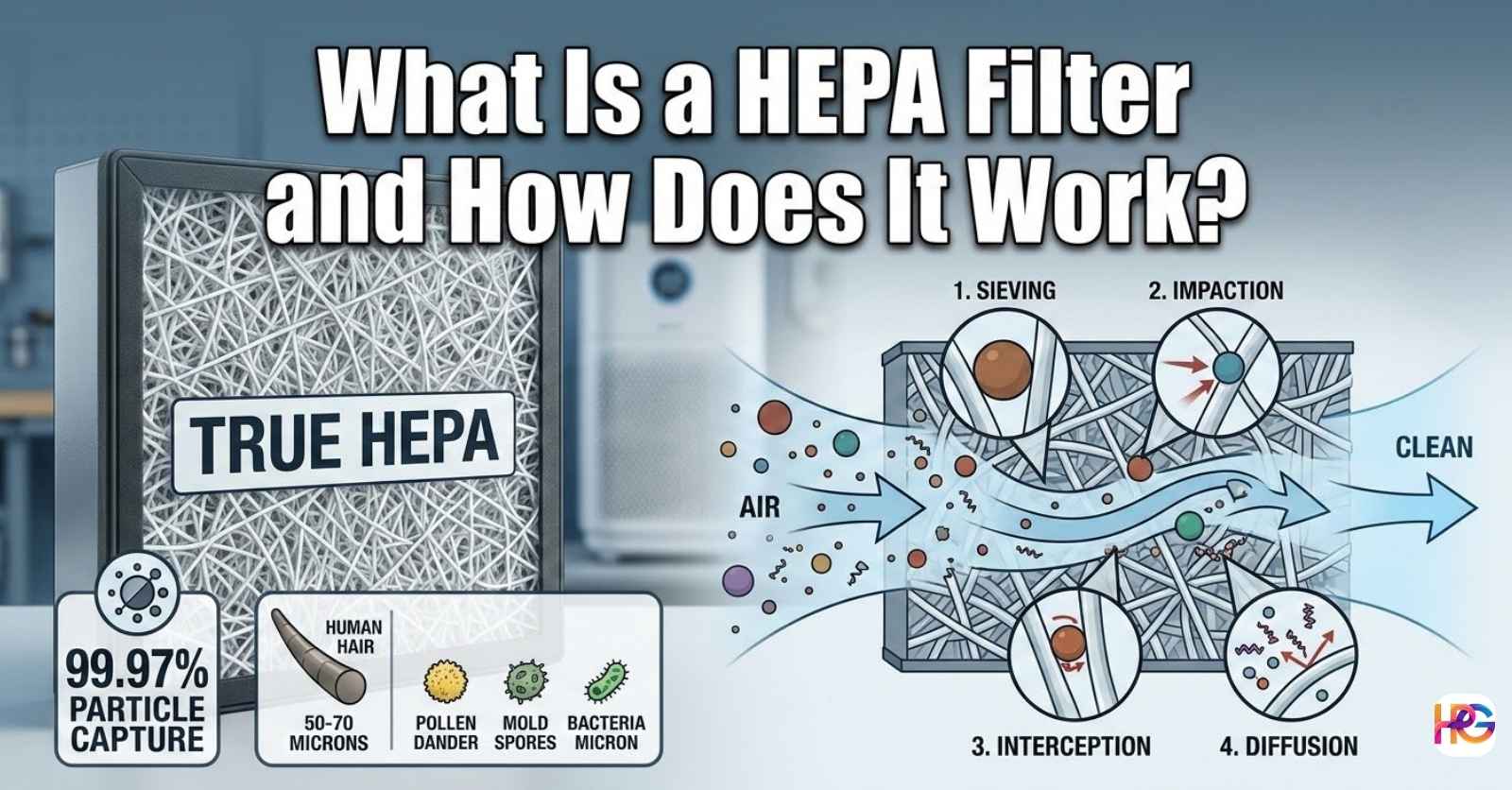 A detailed 1600x836 diagram titled What Is a HEPA Filter and How Does It Work showing a True HEPA fiber web, a micron size scale, and the four steps of particle capture.