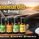 Best essential oils for driving displayed with peppermint, sweet orange, eucalyptus, and lemon oils in a car interior with a diffuser.