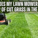 A walk-behind lawn mower sits on a green yard next to a distinct, prominent strip of tall, uncut grass running through the middle of a freshly mowed lawn. White text in Impact font at the top reads: "WHY DOES MY LAWN MOWER LEAVES A STRIP OF CUT GRASS IN THE MIDDLE".